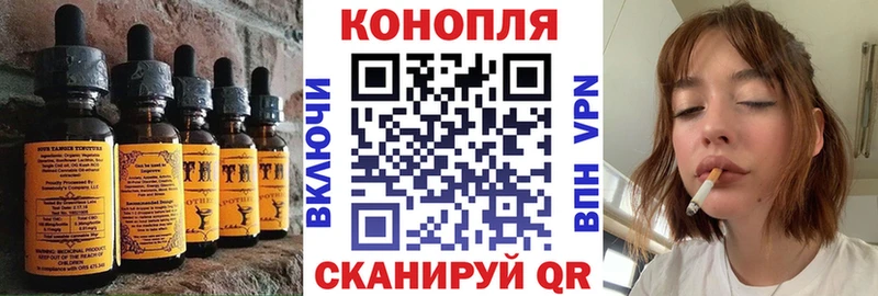 Canna-Cookies марихуана  Георгиевск 