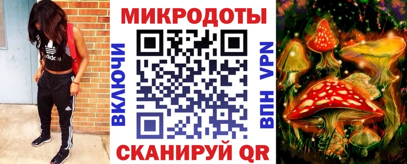 сколько стоит  Георгиевск  Псилоцибиновые грибы Cubensis 