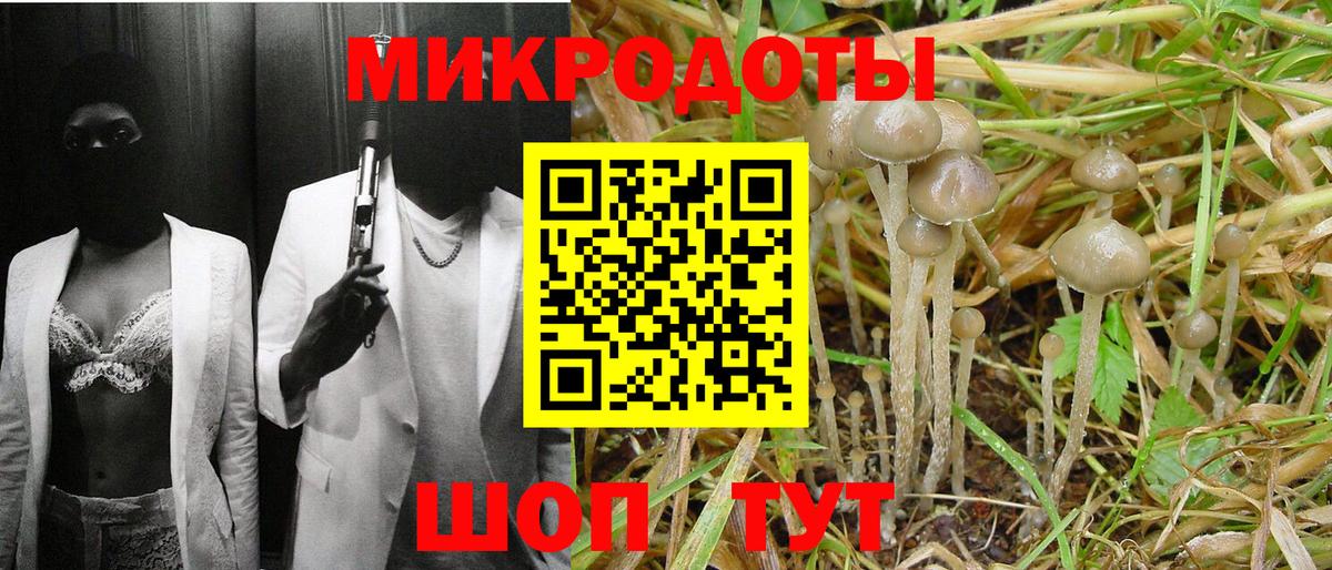 Галлюциногенные грибы Psilocybine cubensis Георгиевск