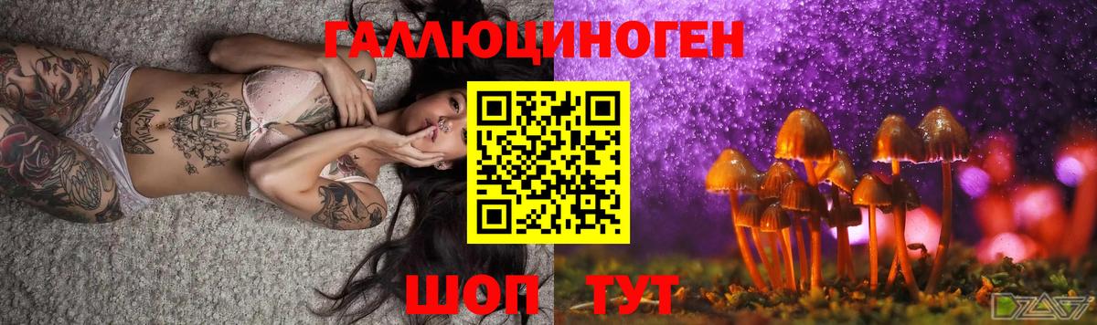 наркотики  Вход с VPN  Георгиевск  Псилоцибиновые грибы мицелий  Галлюциногенные грибы мицелий 